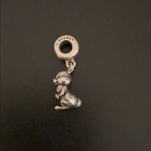 Pandora charm
